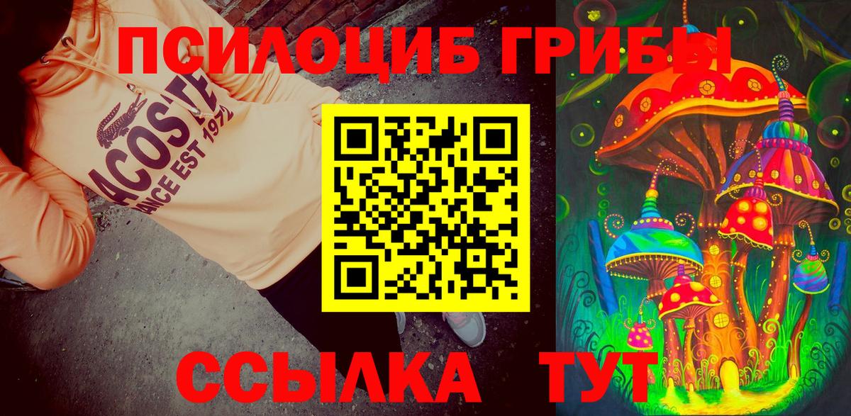 Пушкино  Галлюциногенные грибы MAGIC MUSHROOMS  Вход с VPN 