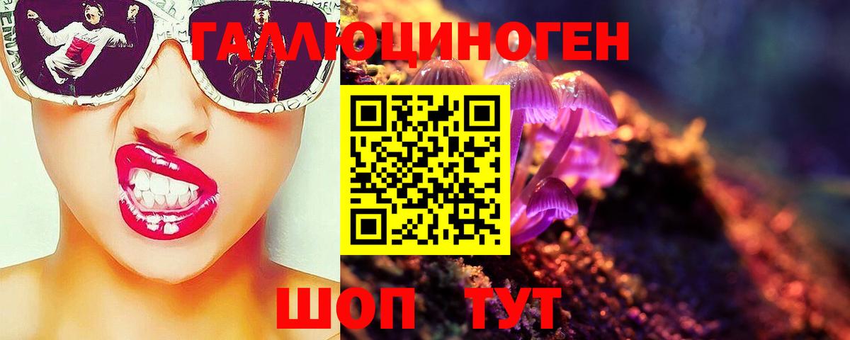 Псилоцибиновые грибы Psilocybine cubensis Пушкино